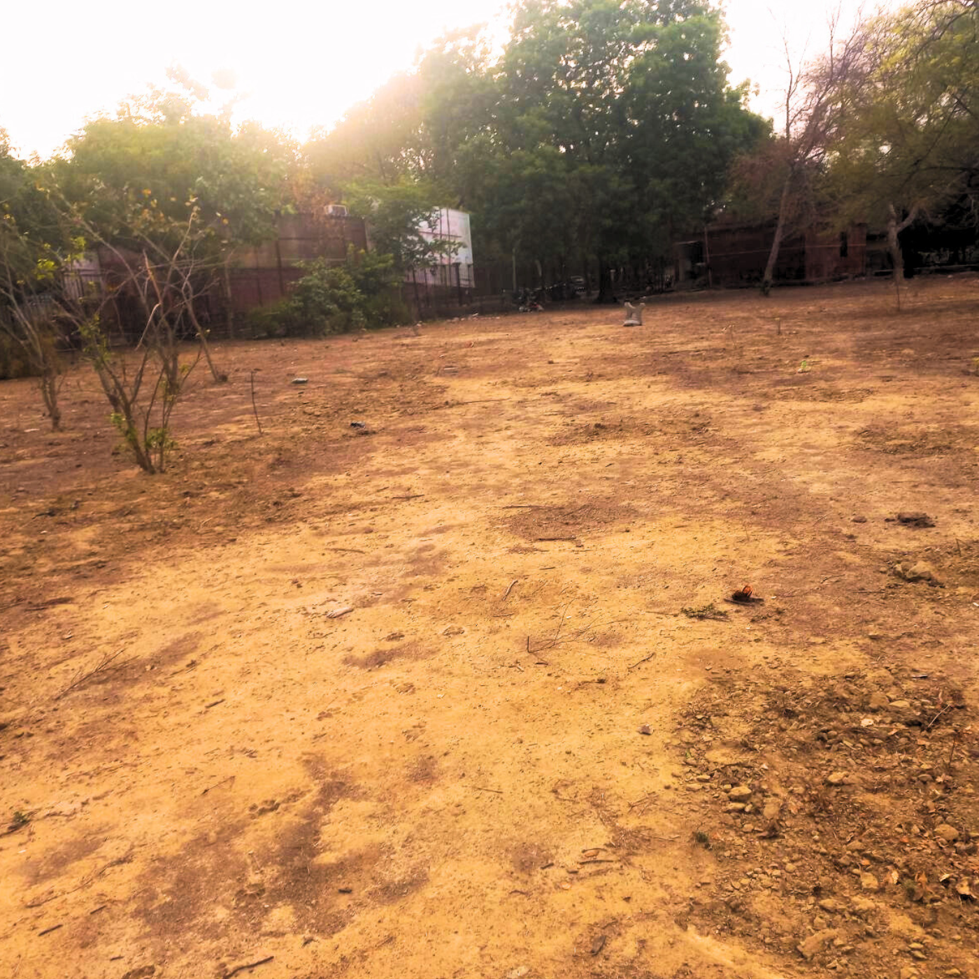 Environmental conservation before and after by Blessing Foundation